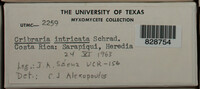 Image Associated With the Occurence